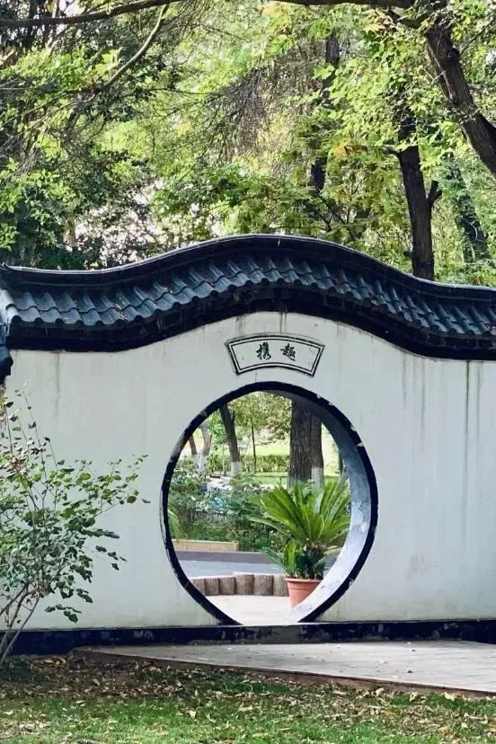 为什么反思在篮球训练中如此重要_2